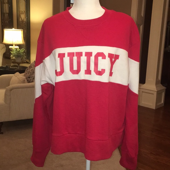 Juicy Couture Colorblock Sweatshirt in Large - Picture 5 of 16
